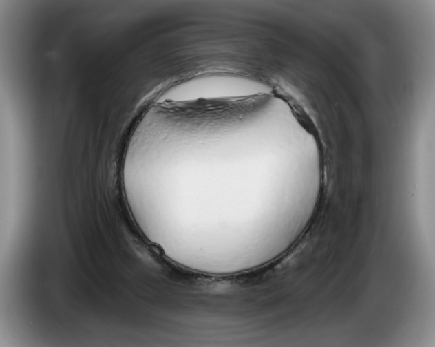 X0000083550249200703091600