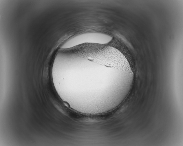 X0000083550250200703091600