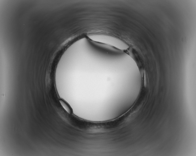 X0000083550252200703091600