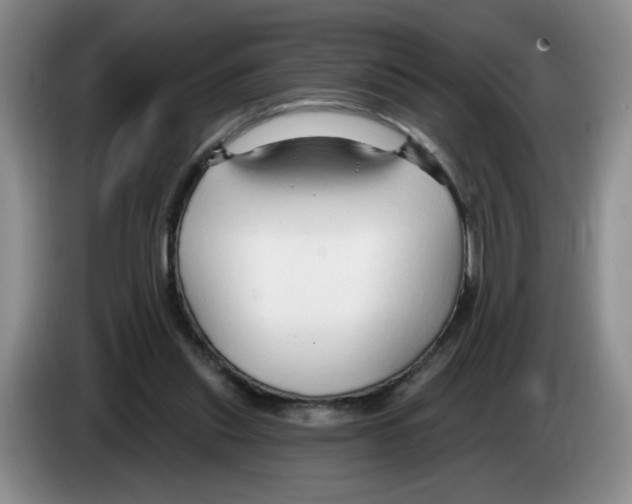 X0000083550253200703091600