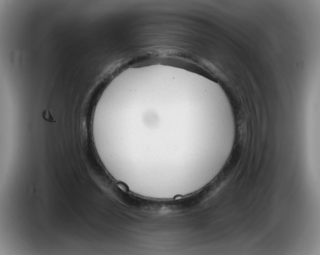 X0000083550254200703091600
