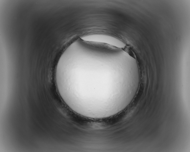 X0000083550255200703091600