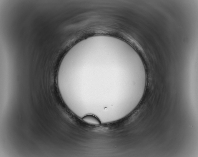 X0000083550257200703091600