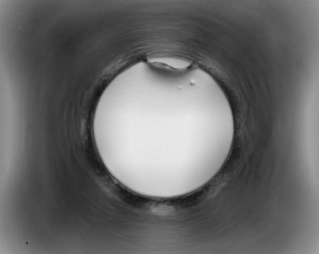 X0000083550258200703091600