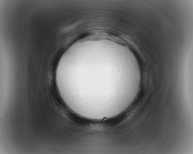 X0000083550259200703091600