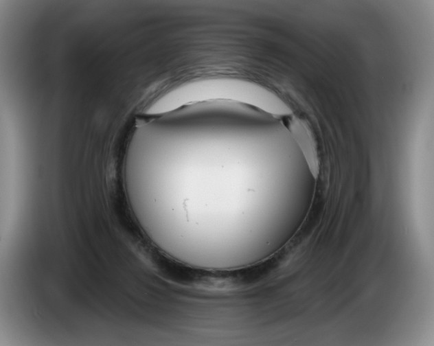 X0000083550260200703091600