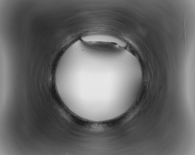 X0000083550261200703091600