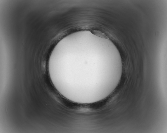 X0000083550262200703091600
