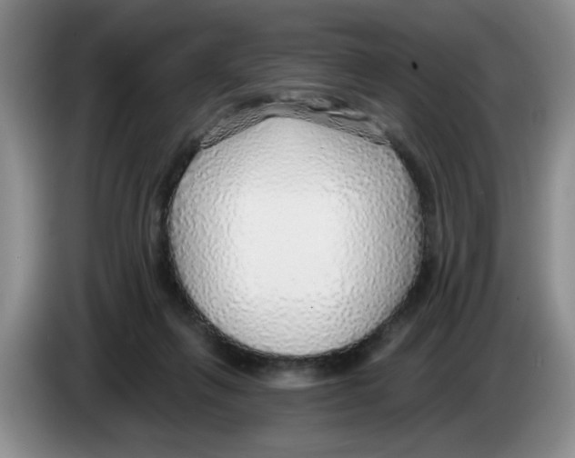 X0000083550263200703091600