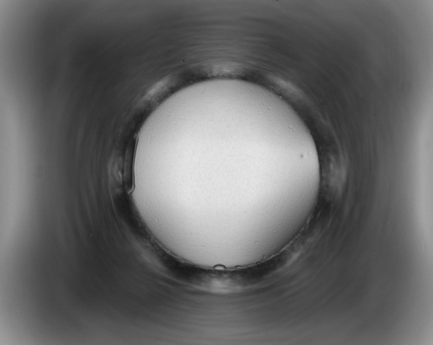 X0000083550264200703091600