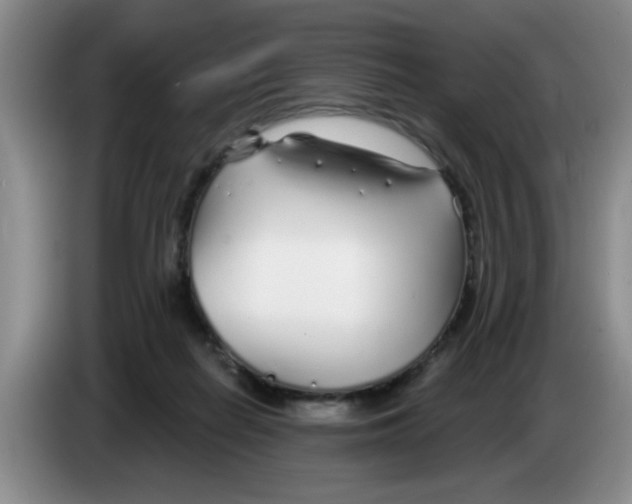 X0000083550266200703091600