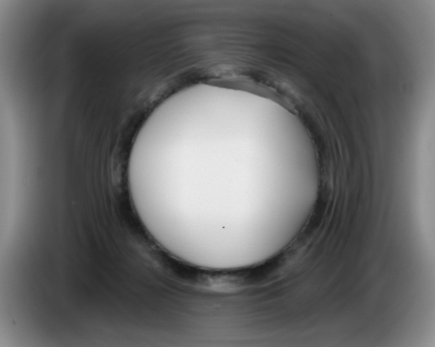 X0000083550268200703091600
