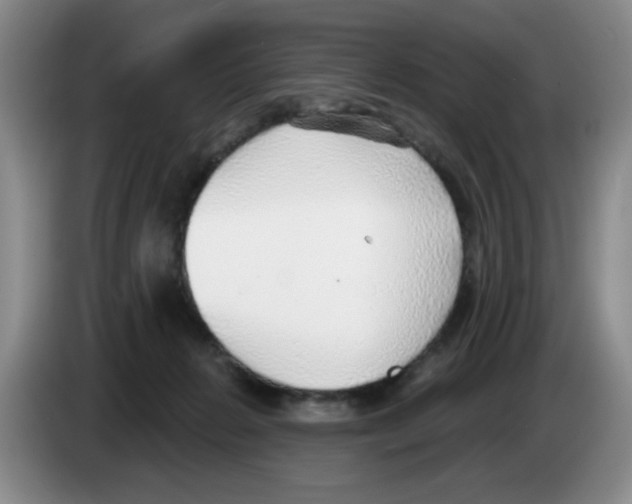 X0000083550270200703091600