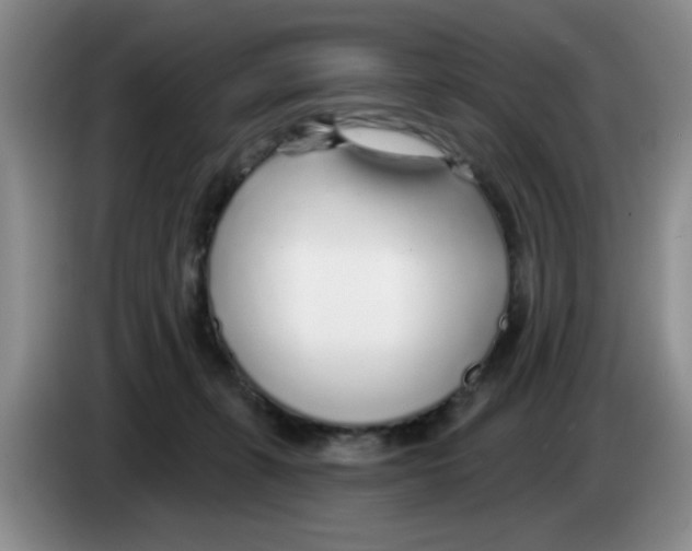 X0000083550271200703091600