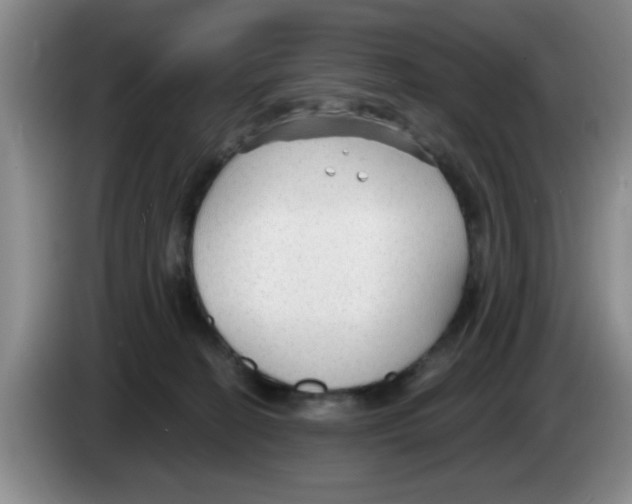 X0000083550274200703091601