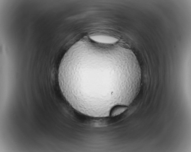 X0000083550275200703091601
