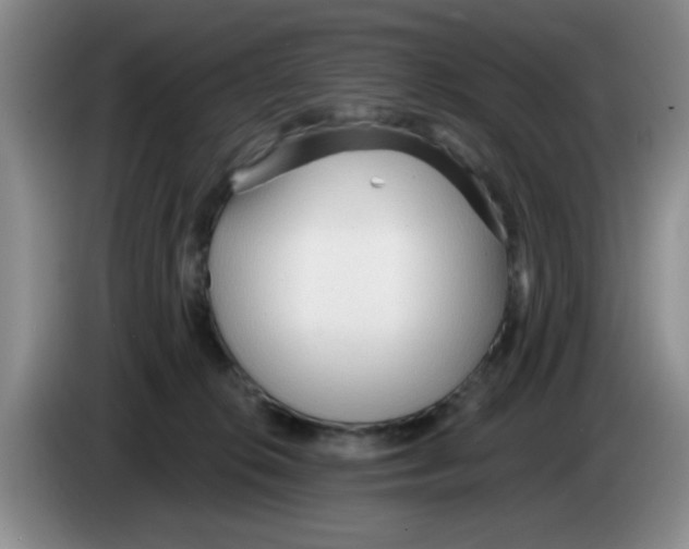 X0000083550276200703091601