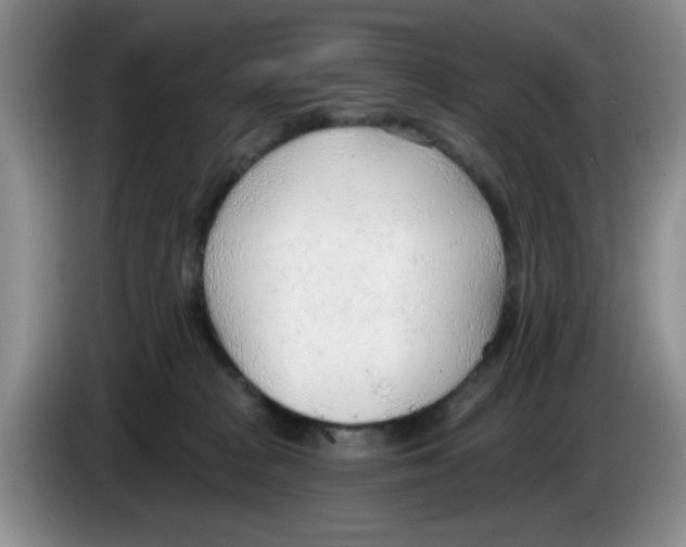 X0000083550277200703091601