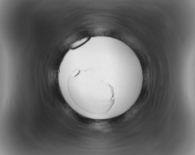 X0000083550278200703091601