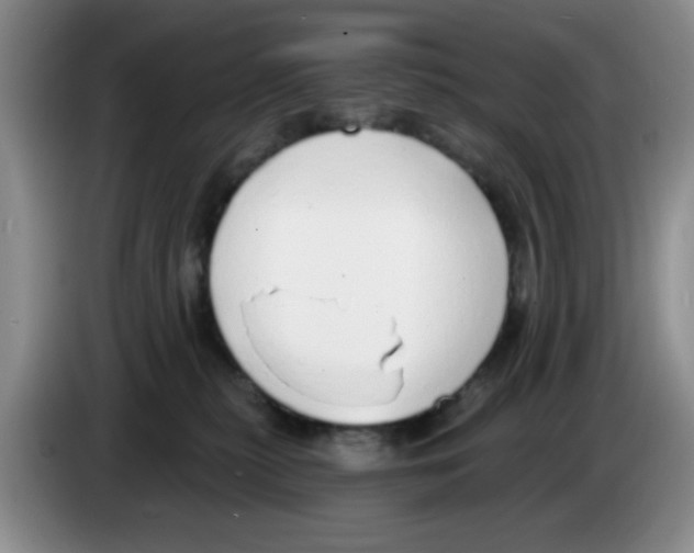 X0000083550279200703091601
