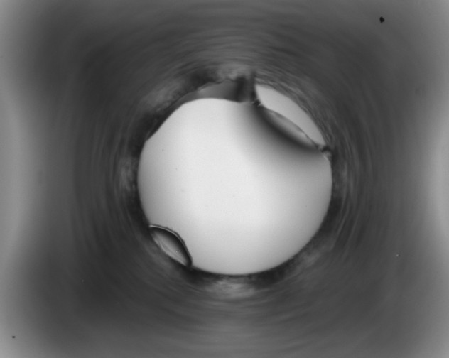 X0000083550280200703091601