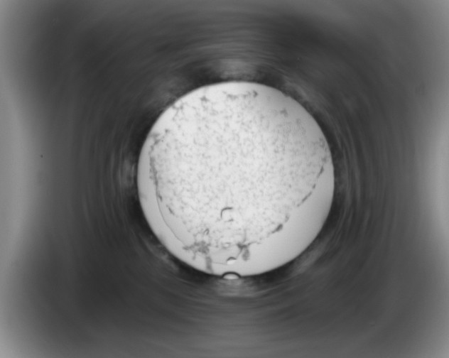 X0000083550281200703091601