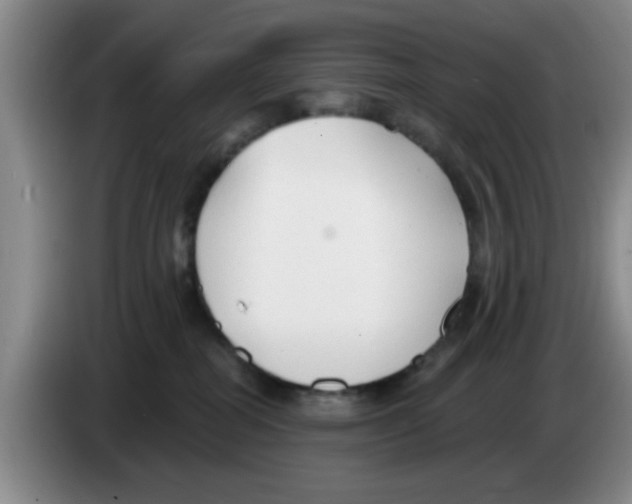 X0000083550282200703091601
