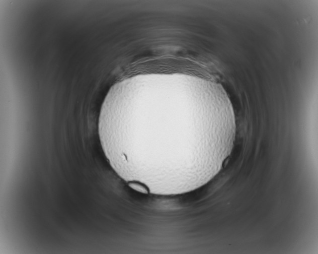 X0000083550283200703091601
