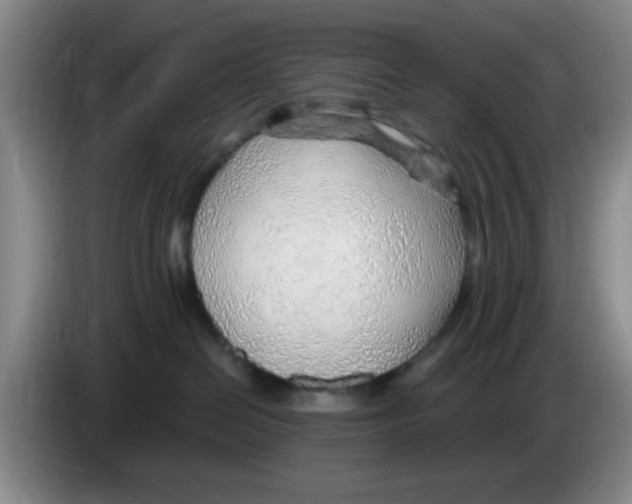 X0000083550286200703091601