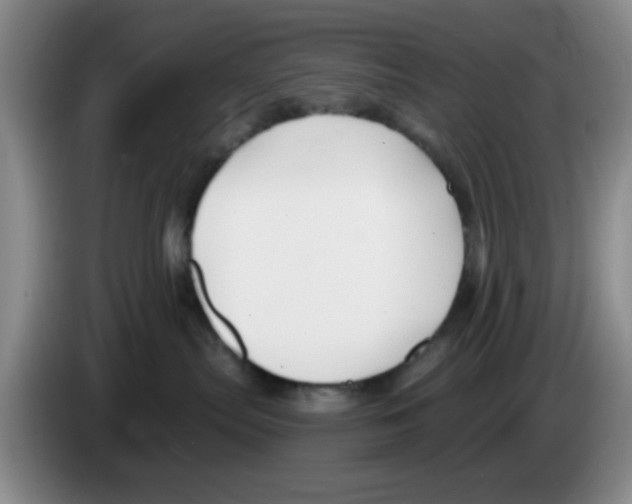 X0000083550287200703091601