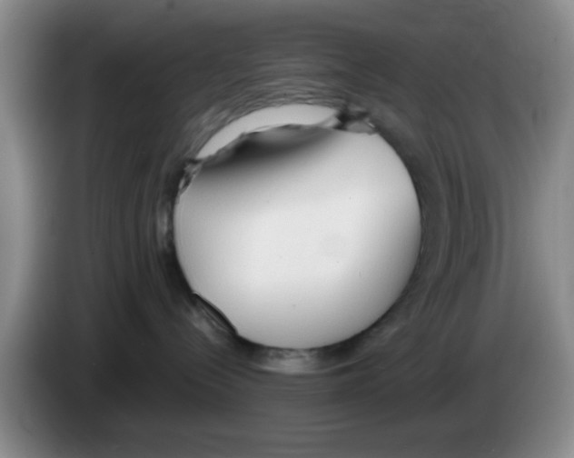X0000083550288200703091601