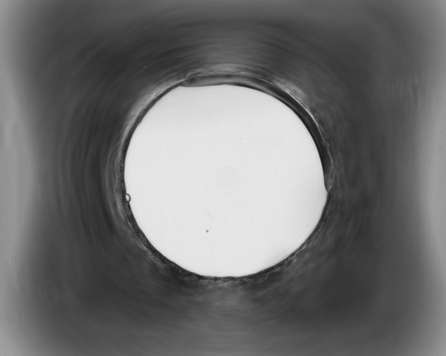X0000083550289200703091600