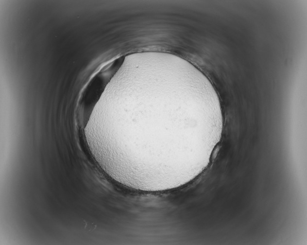 X0000083550290200703091600