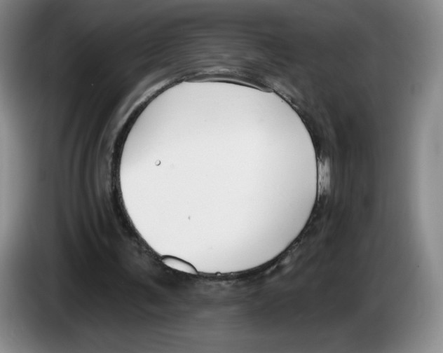 X0000083550291200703091600
