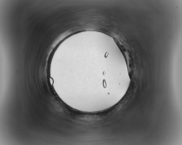 X0000083550292200703091600