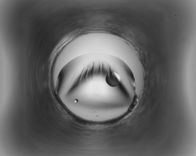X0000083550293200703091600