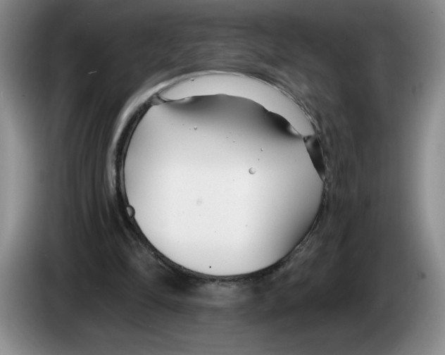 X0000083550294200703091600