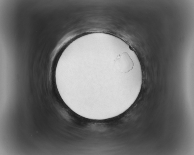 X0000083550296200703091600
