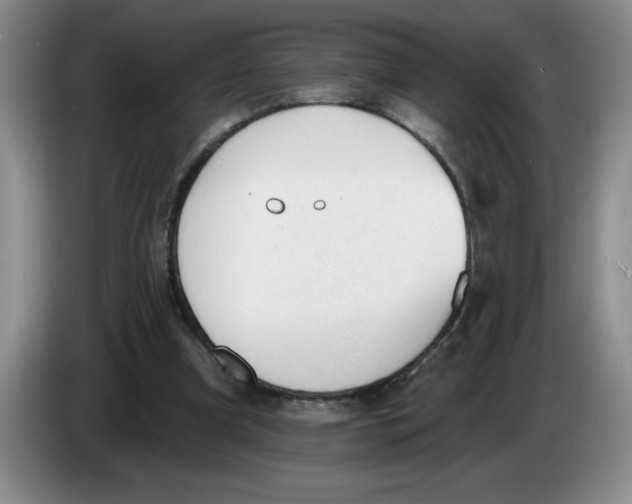 X0000083550297200703091600