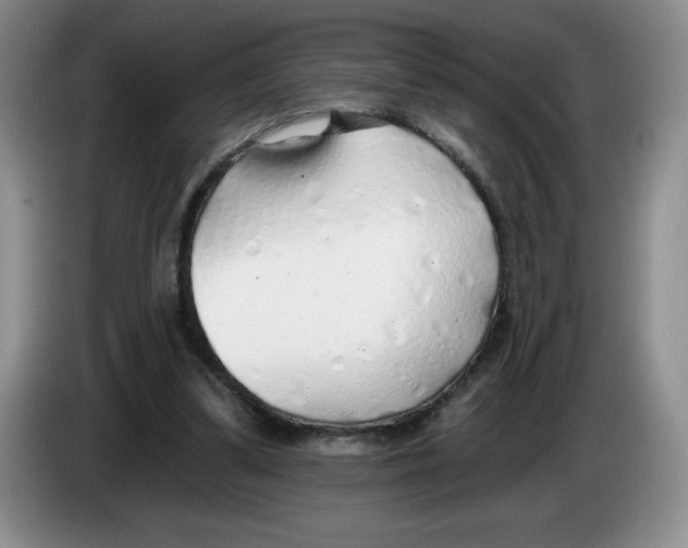 X0000083550299200703091600