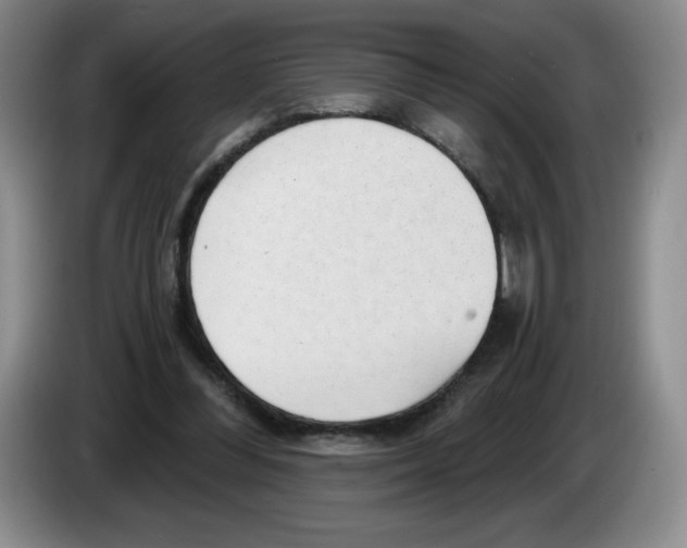 X0000083550300200703091600