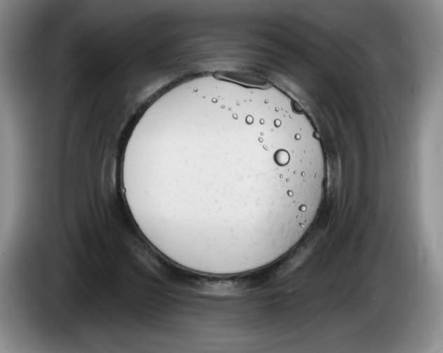X0000083550301200703091600