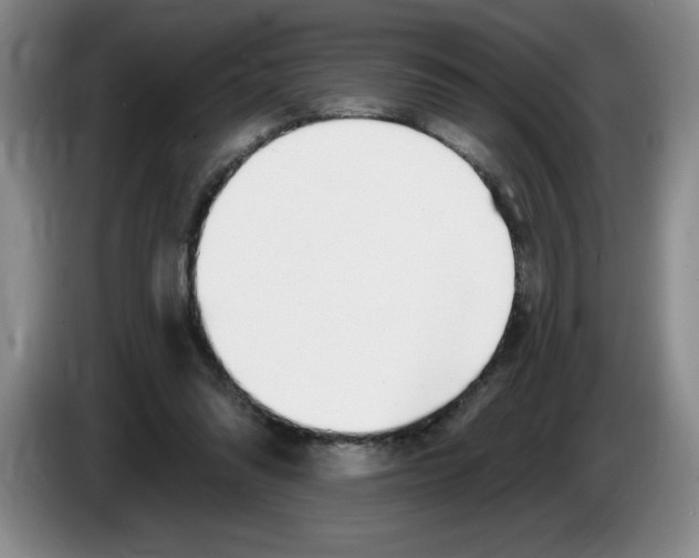 X0000083550302200703091600
