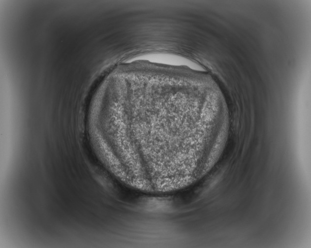 X0000083550303200703091600