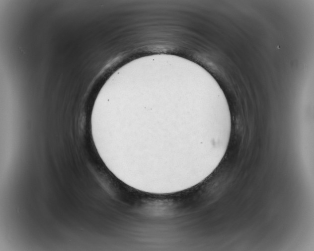 X0000083550304200703091600