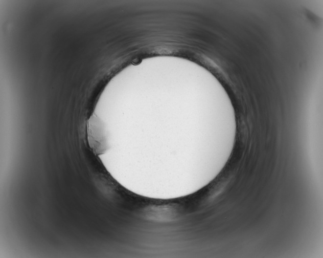 X0000083550307200703091600