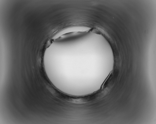 X0000083550309200703091600