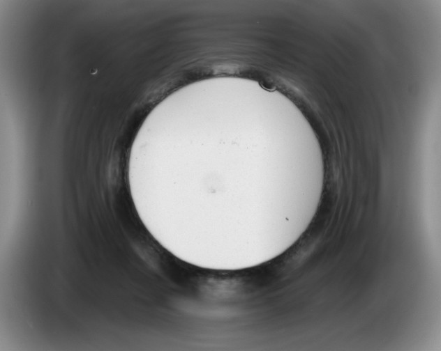 X0000083550311200703091600