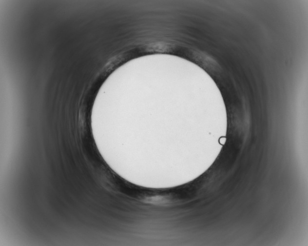 X0000083550312200703091600