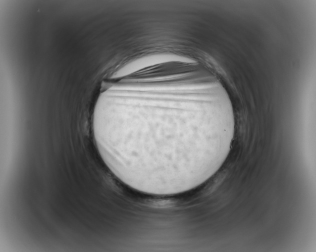 X0000083550313200703091600